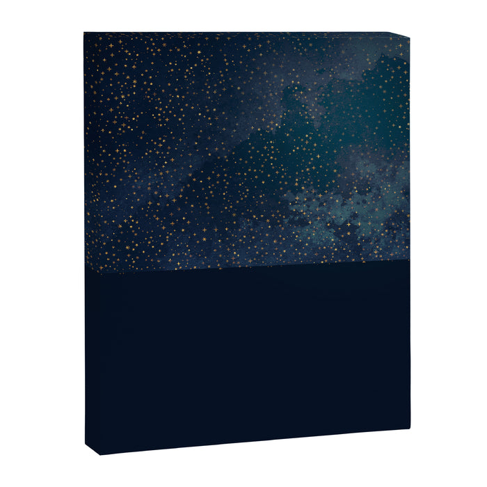 Midnight Winter-PillowCase-2 Canvas Print Gallery Image 1