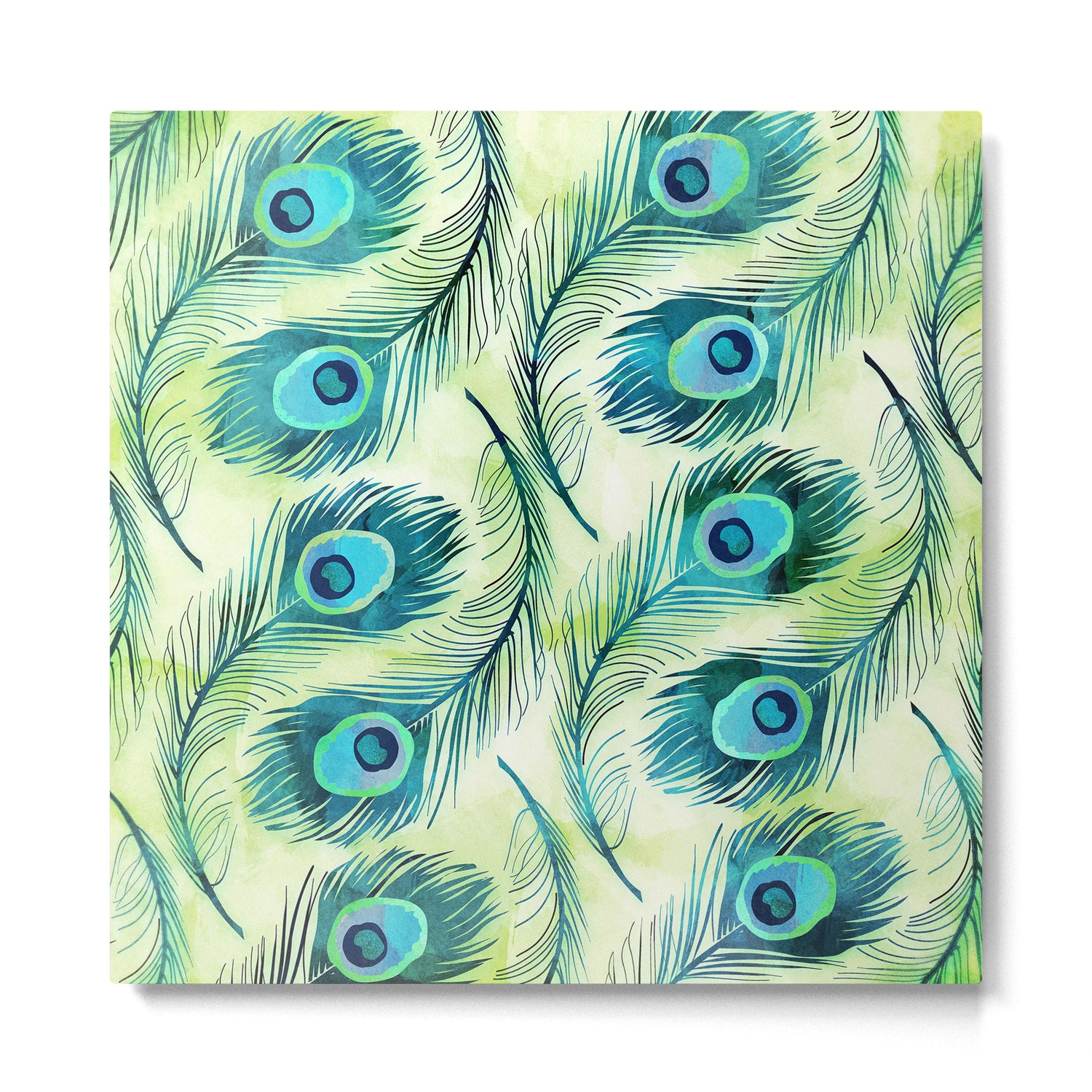Peacock Metal Print Gallery Image 2