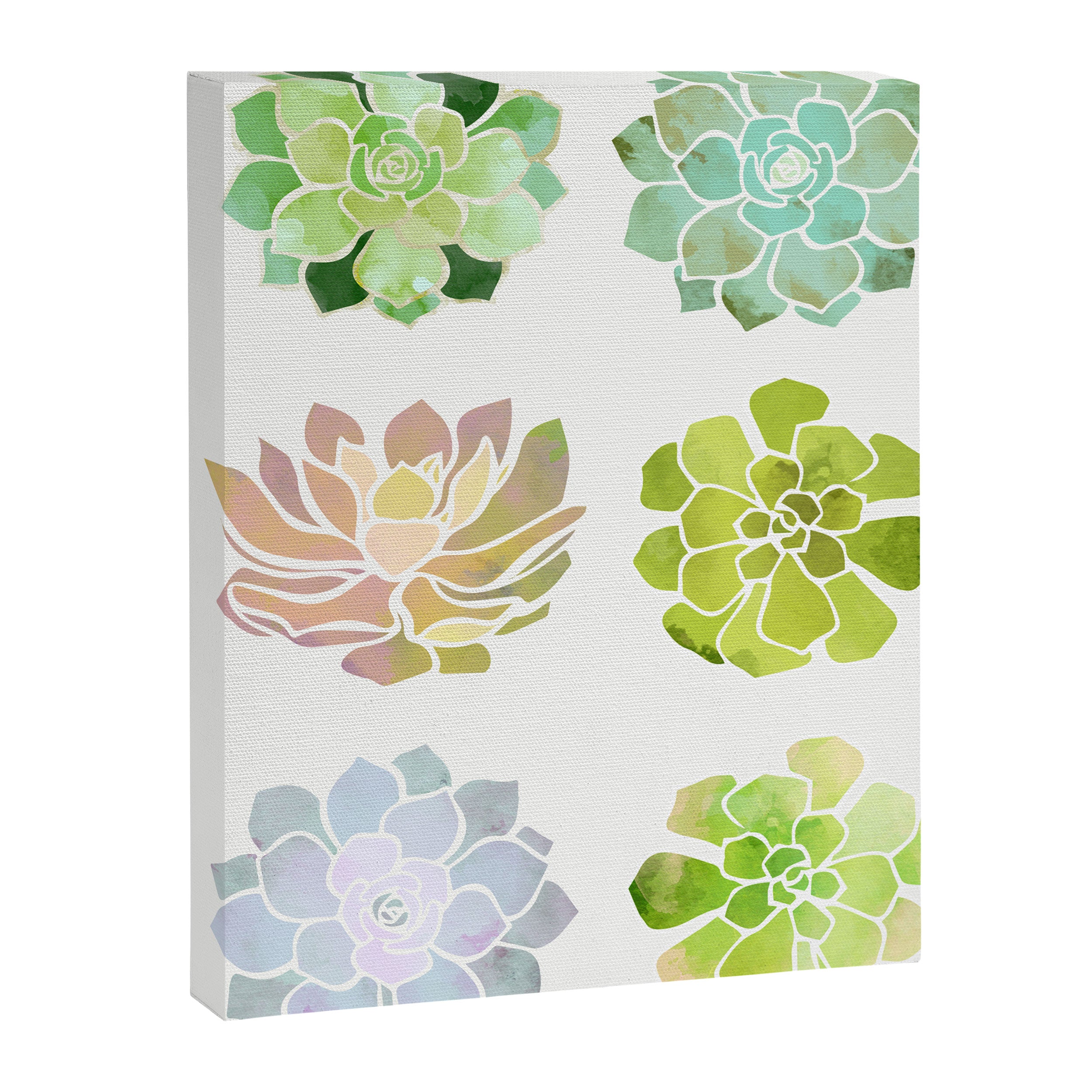 Spring Succulents Canvas Print Gallery Image 8