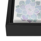 Spring Succulents Framed Canvas Print Gallery Image 3