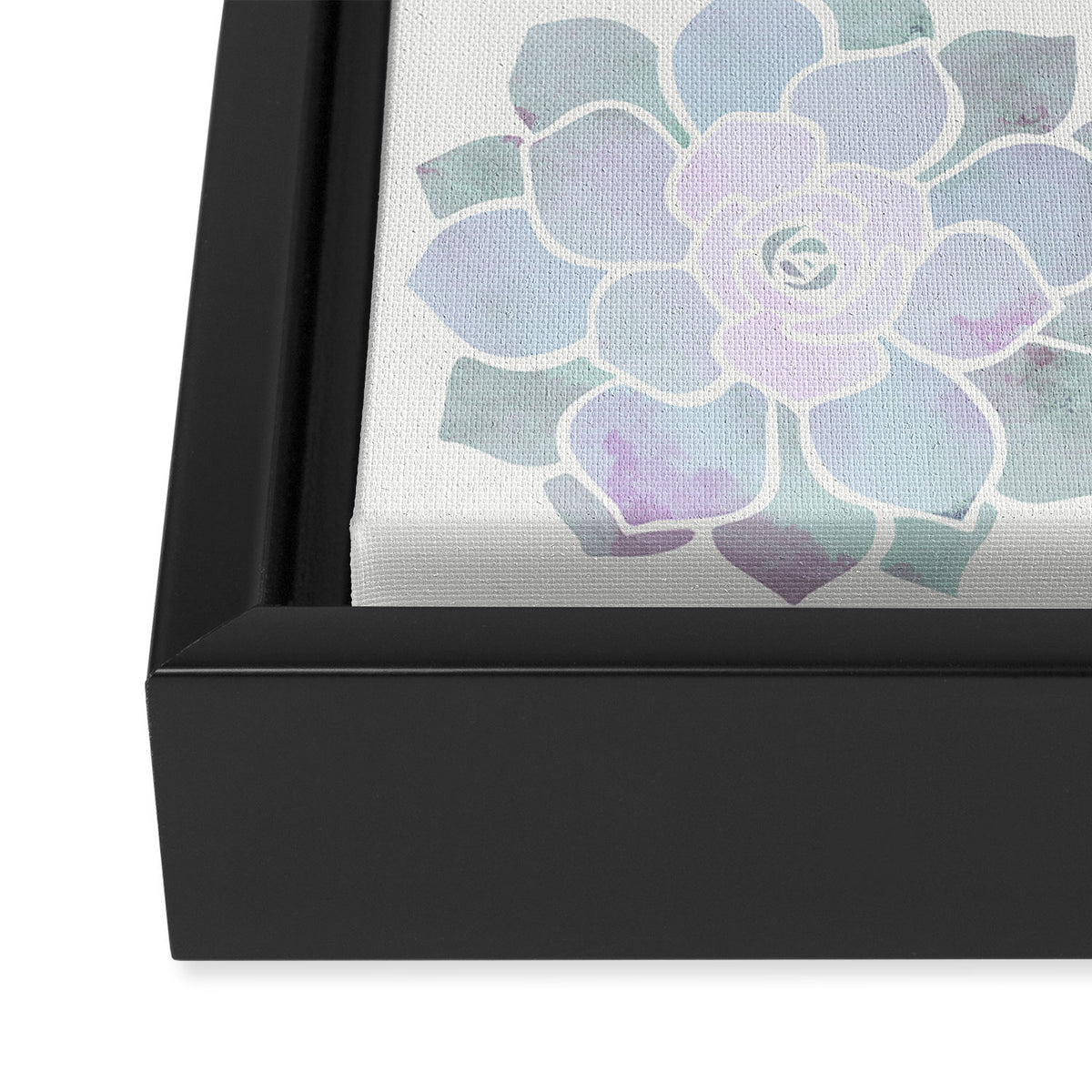 Spring Succulents Framed Canvas Print Gallery Image 3