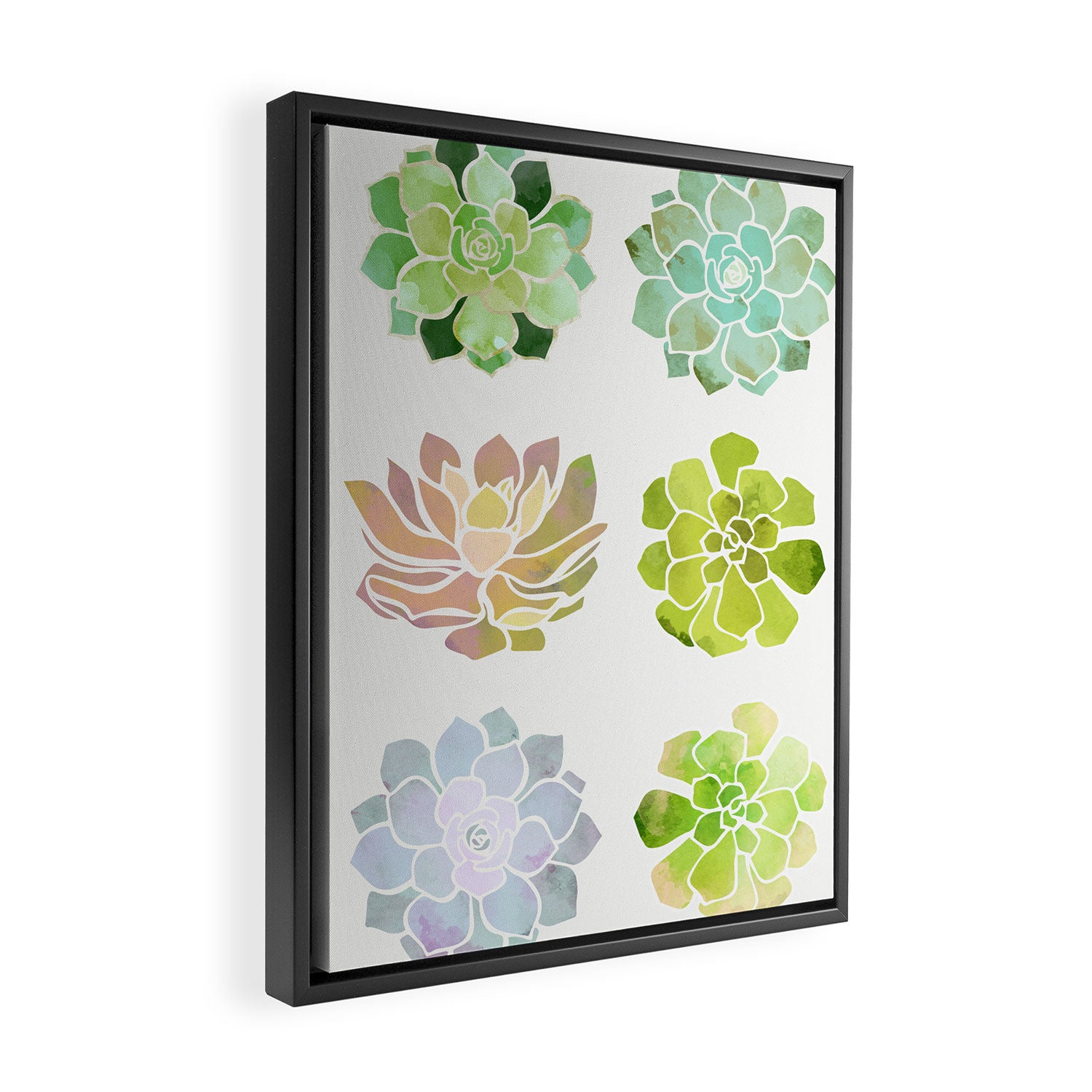 Spring Succulents Framed Canvas Print Gallery Image 2