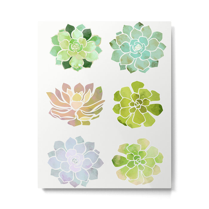 Spring Succulents Metal Print Gallery Image 1