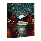 Star Sky Reflection Canvas Print Gallery Image 8
