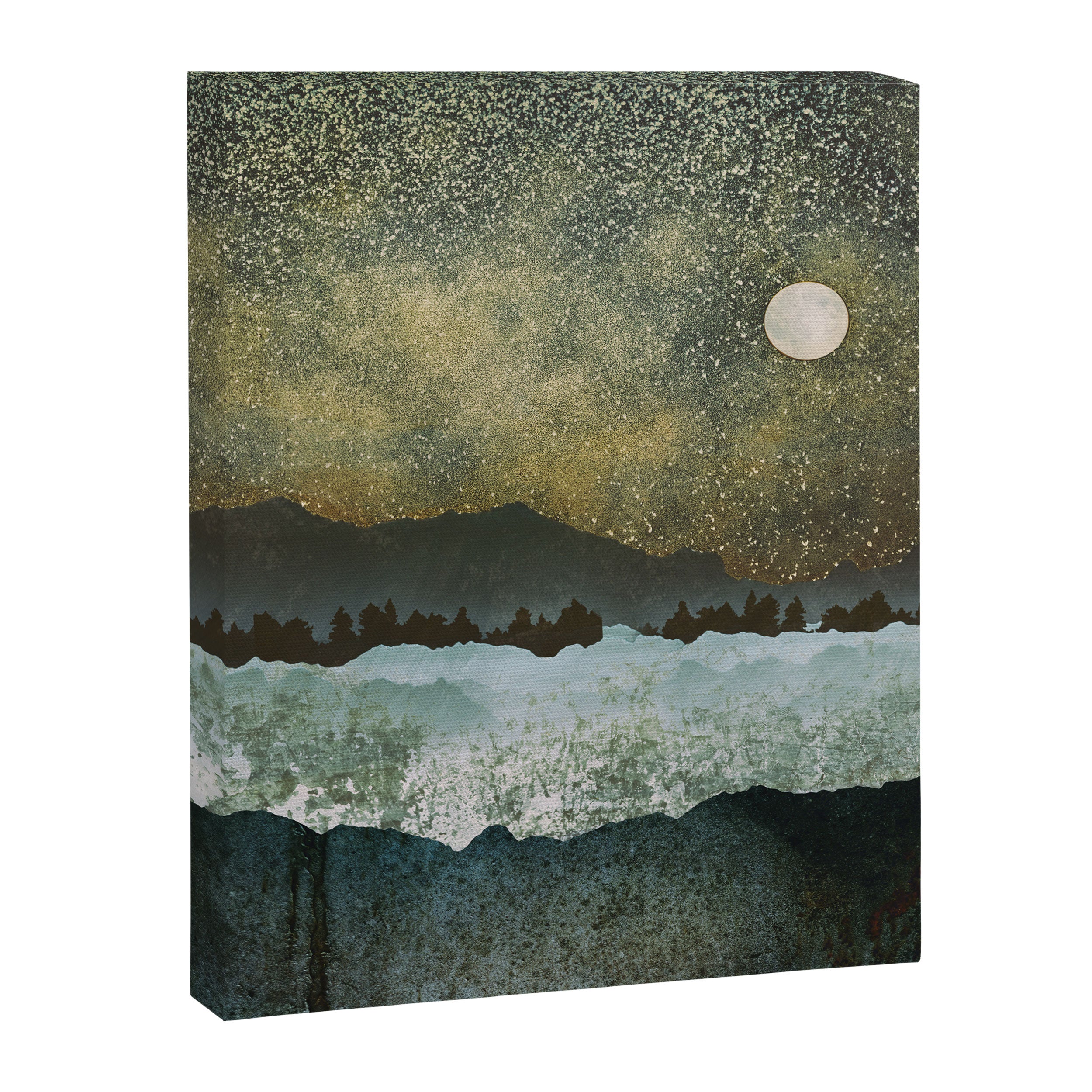 Stars Canvas Print Gallery Image 8