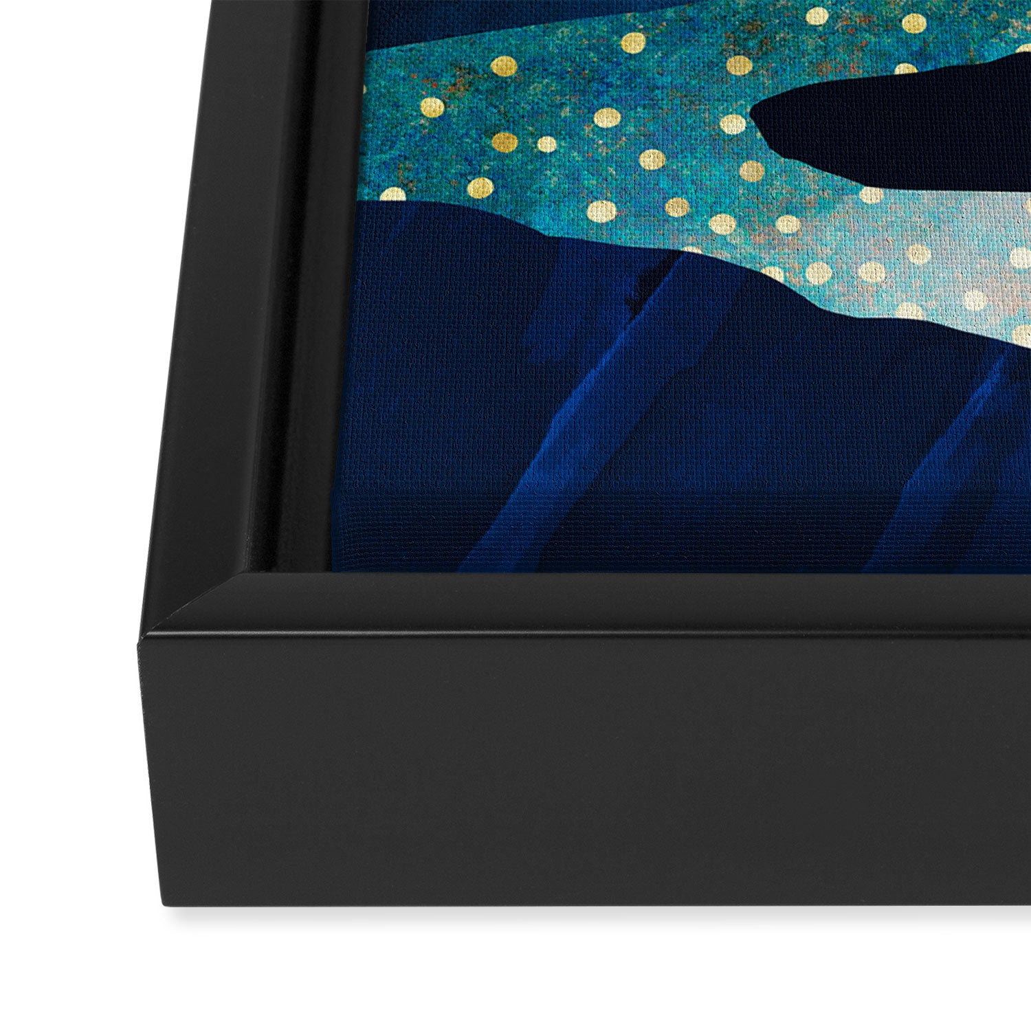 Summer Stars Framed Canvas Print Gallery Image 3