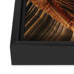 Tiger's Eye Canyon Framed Canvas Print Gallery Image 3