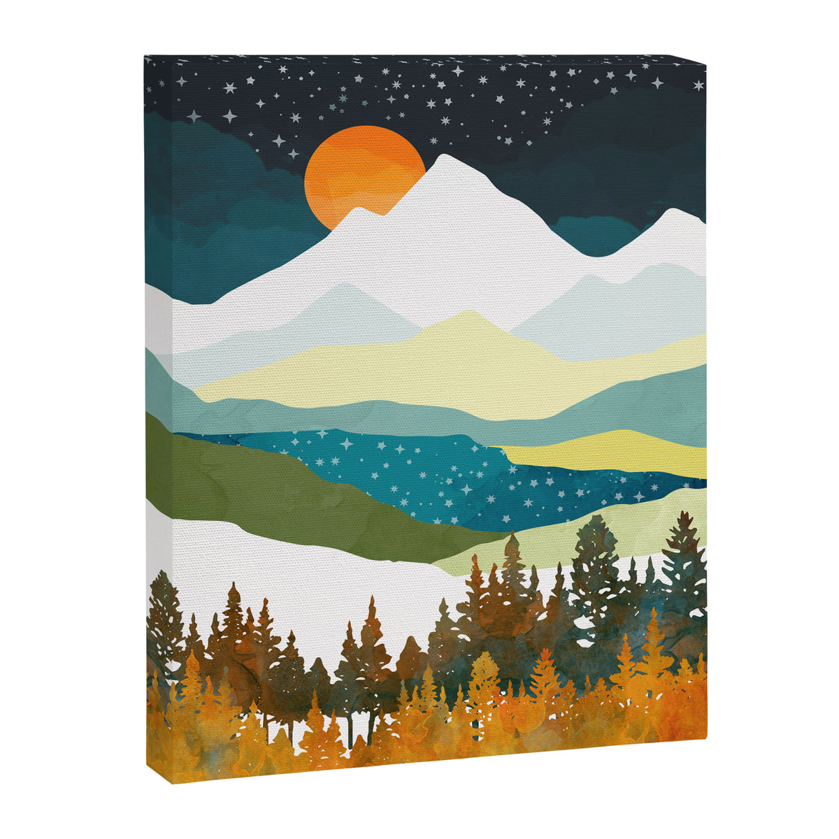 Winters Night Canvas Print Gallery Image 8