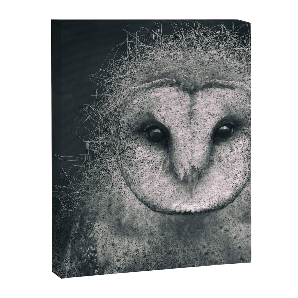 Wisdom Canvas Print Gallery Image 8