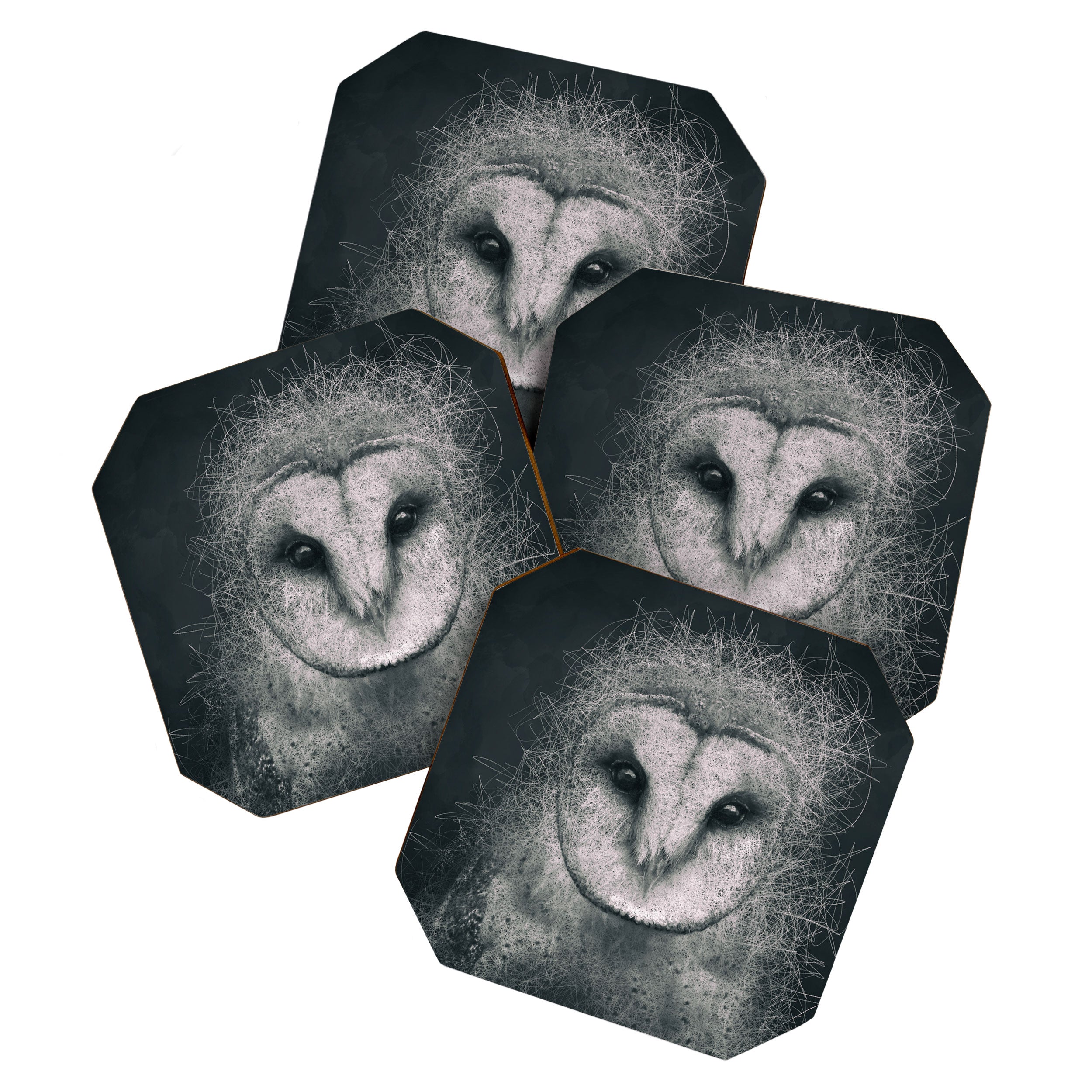 Wisdom Coaster Gallery Image 1