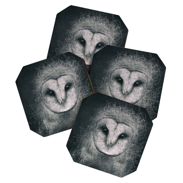 Wisdom Coaster Gallery Image 1