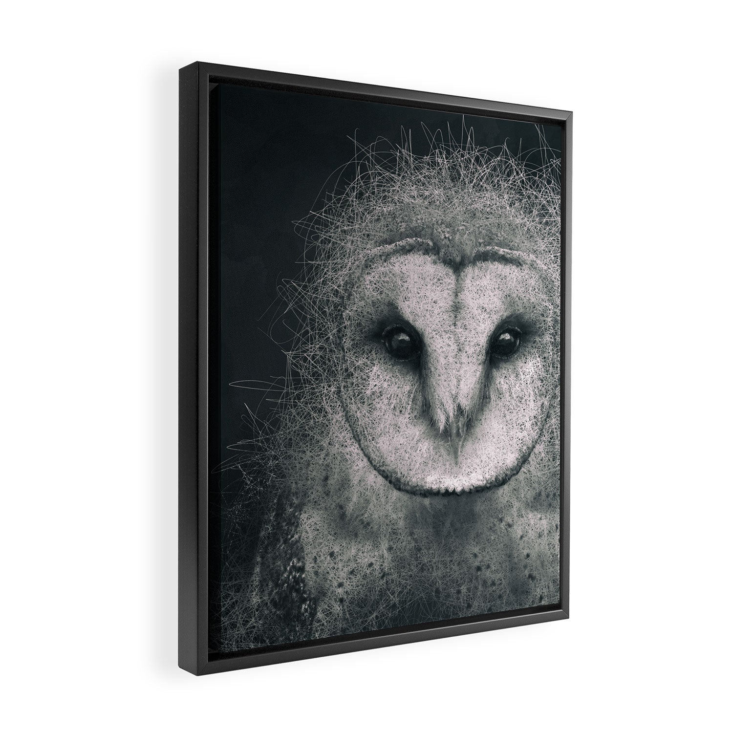 Wisdom Framed Canvas Print Gallery Image 2