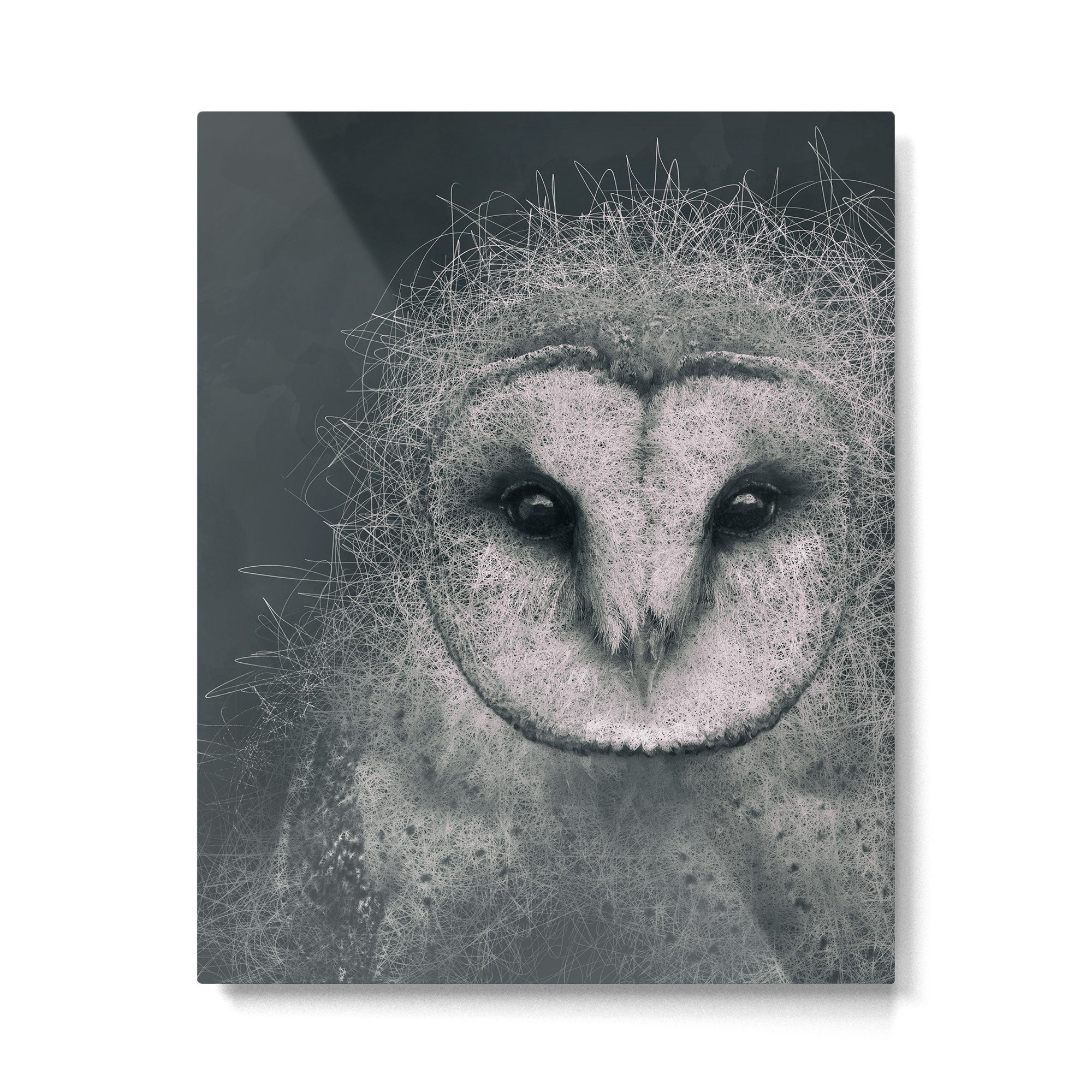 Wisdom Metal Print Gallery Image 6