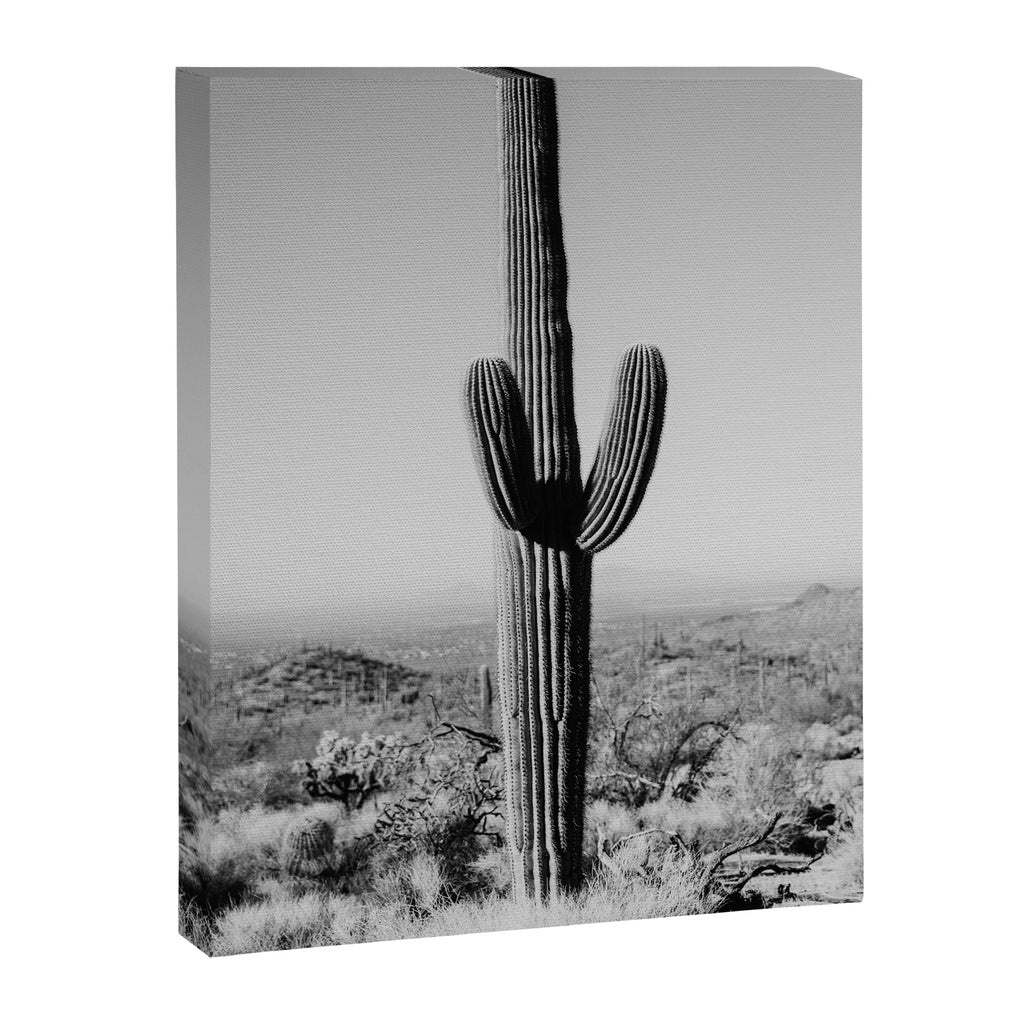 Black and white desert cactus photography poster Canvas Print Gallery Image 6