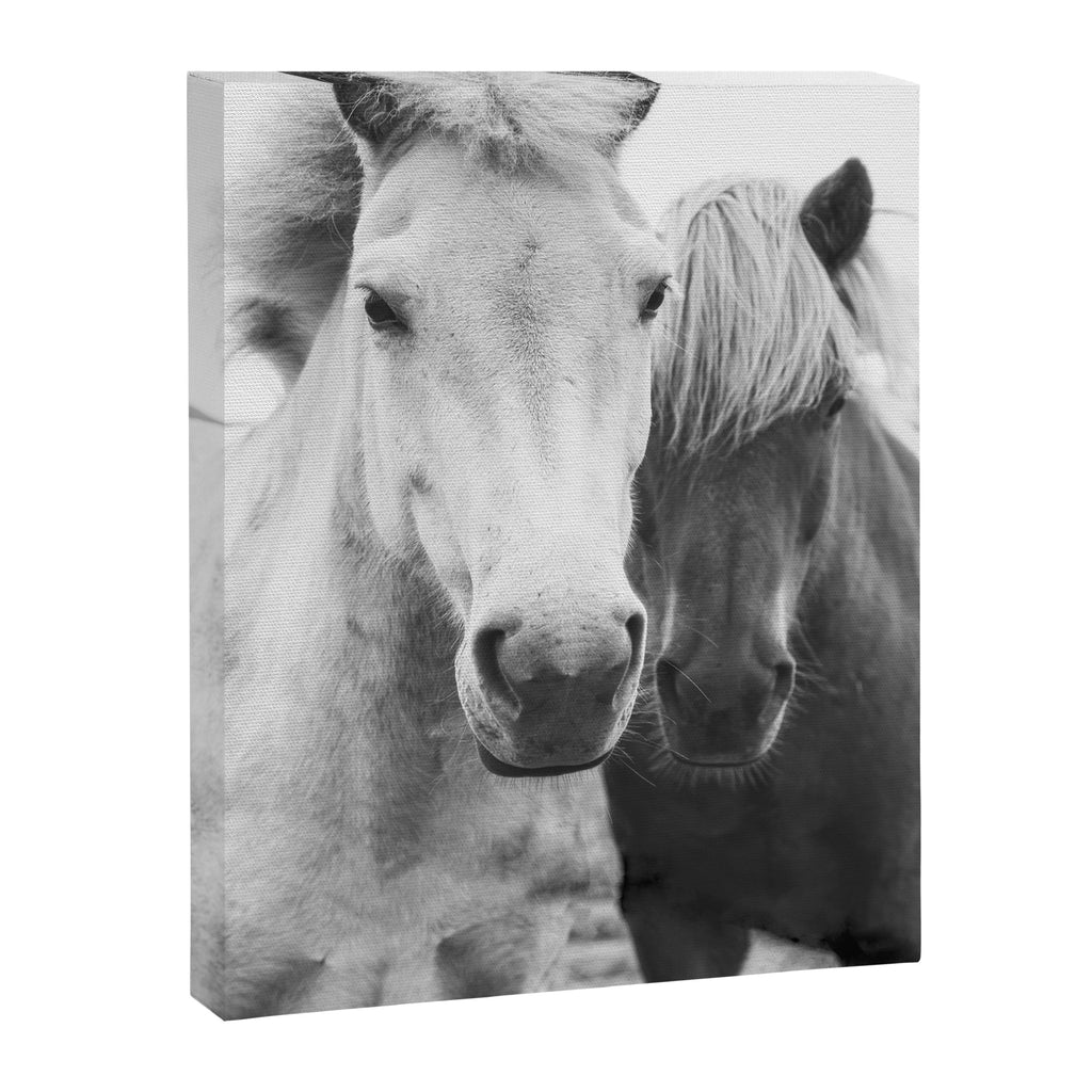 Black and White Horses Canvas Print Gallery Image 6
