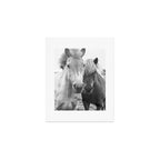 Black and White Horses Art Print Gallery Image 1