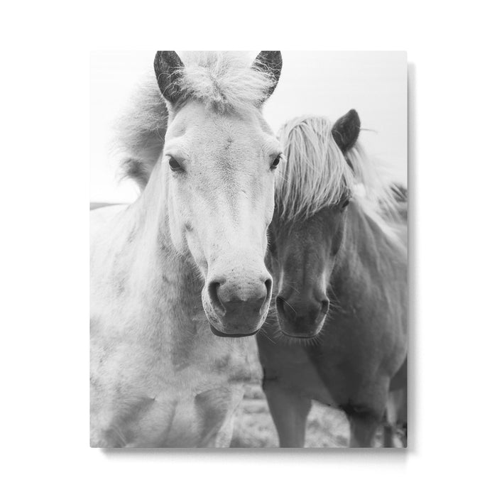 Black and White Horses Metal Print Gallery Image 1