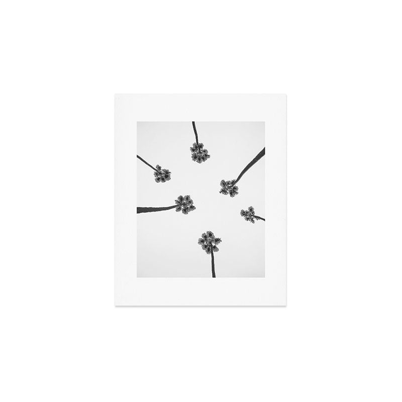 Black and white palms photo Art Print Gallery Image 1