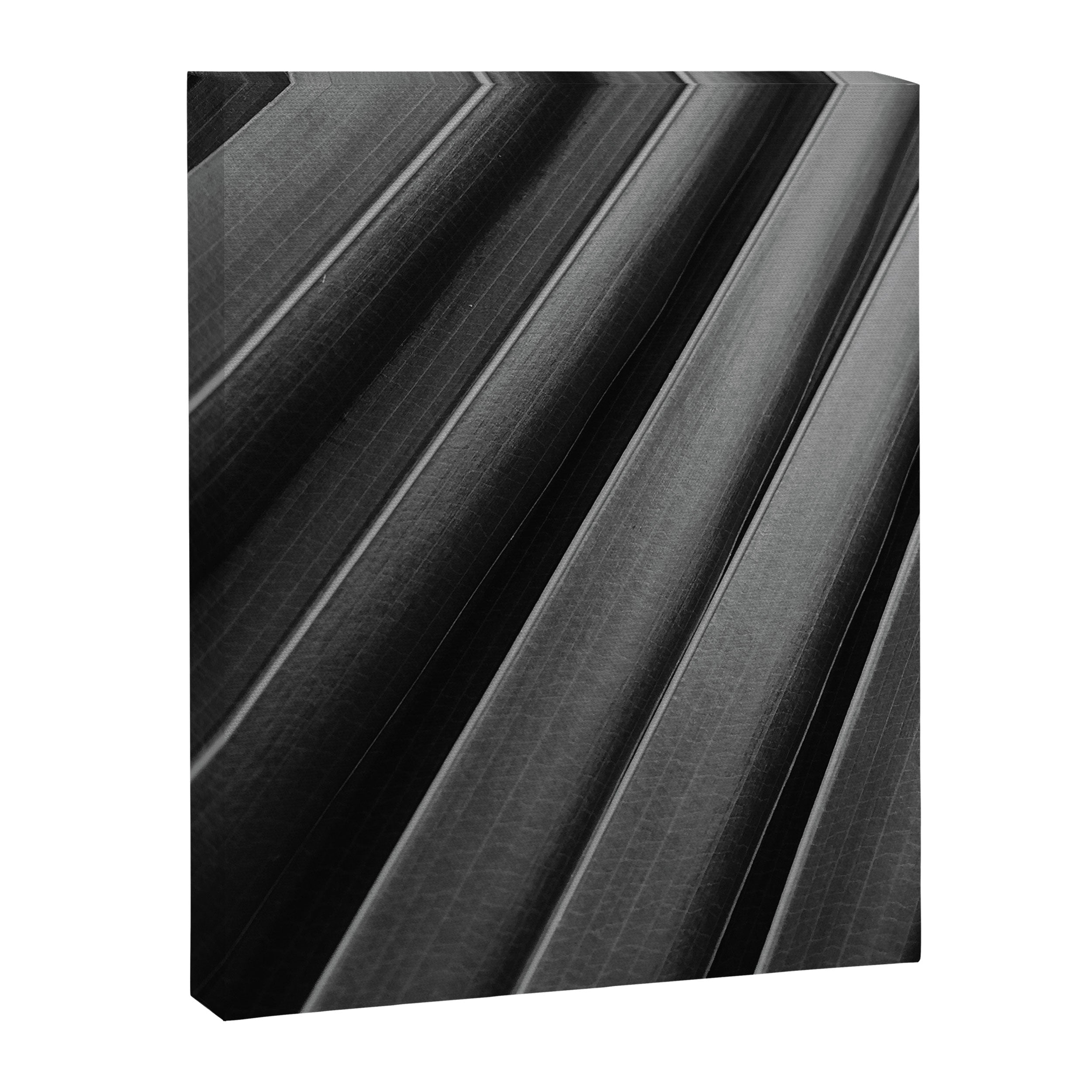 Leaf Photography Canvas Print Gallery Image 6