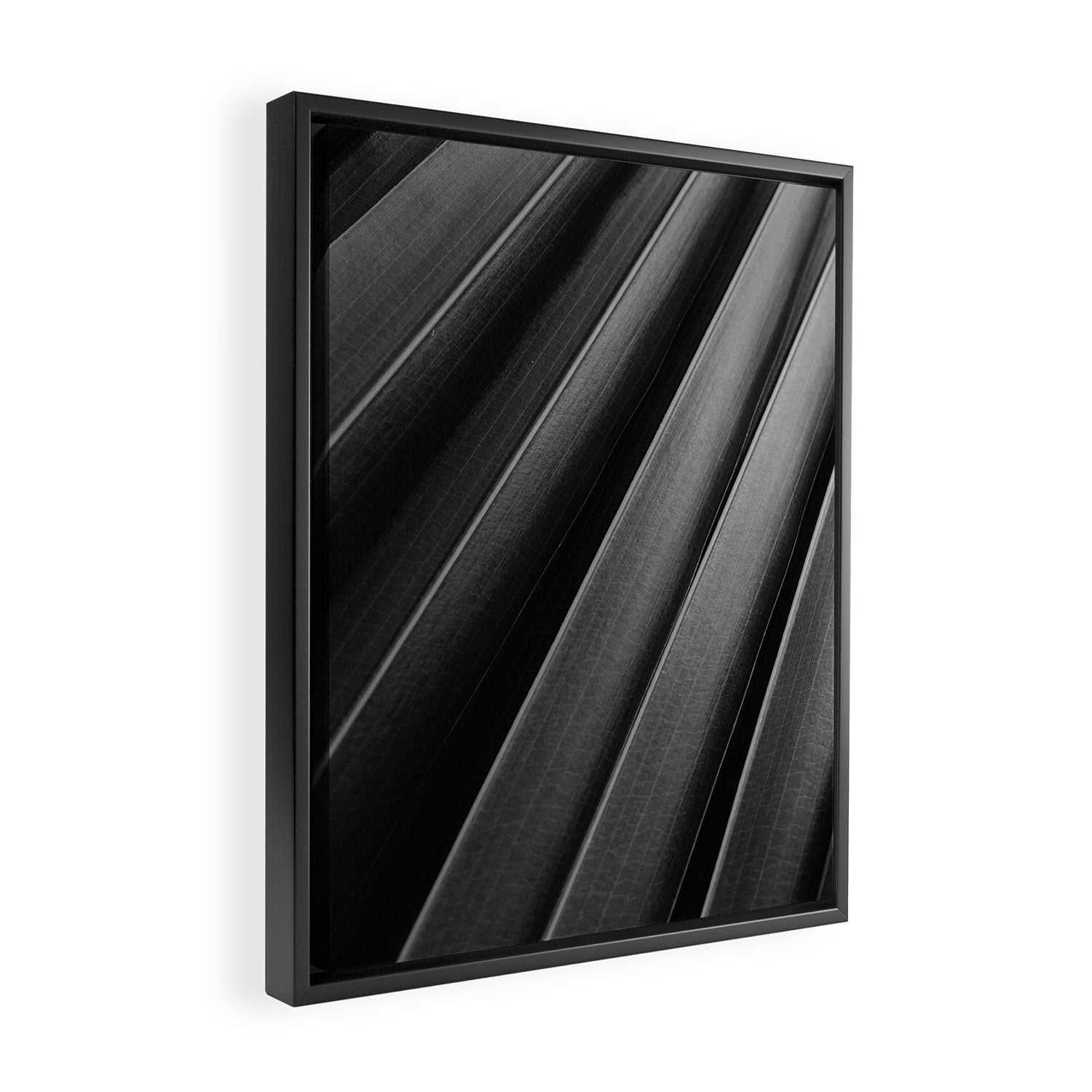 Leaf Photography Framed Canvas Print Gallery Image 2