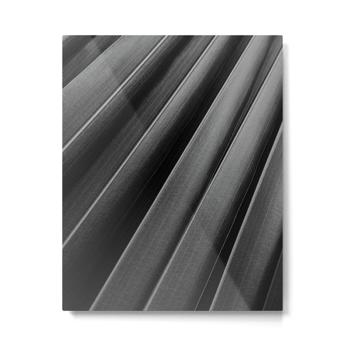 Leaf Photography Metal Print Gallery Image 1