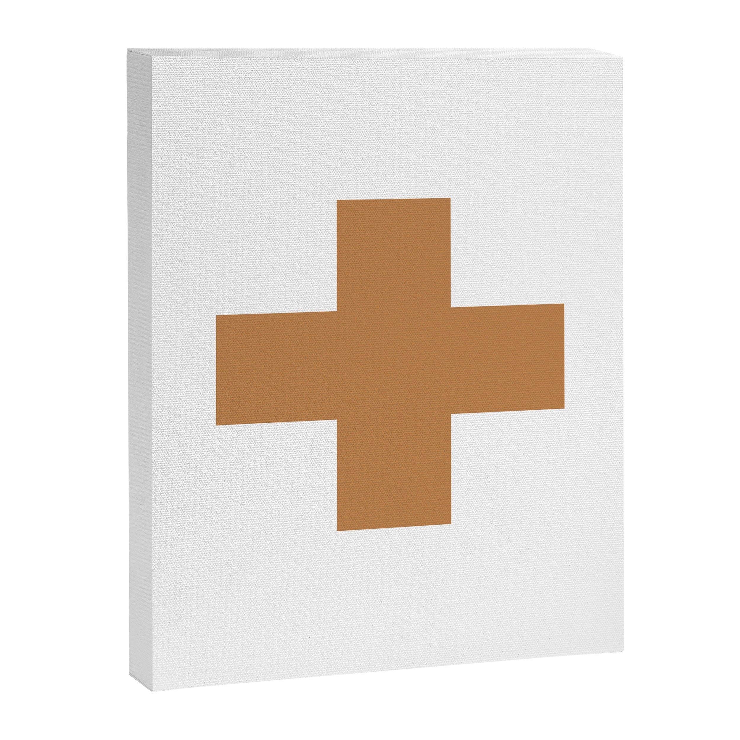 Swiss cross plus Canvas Print Gallery Image 6