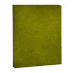 Olive green tones Canvas Print Gallery Image 8