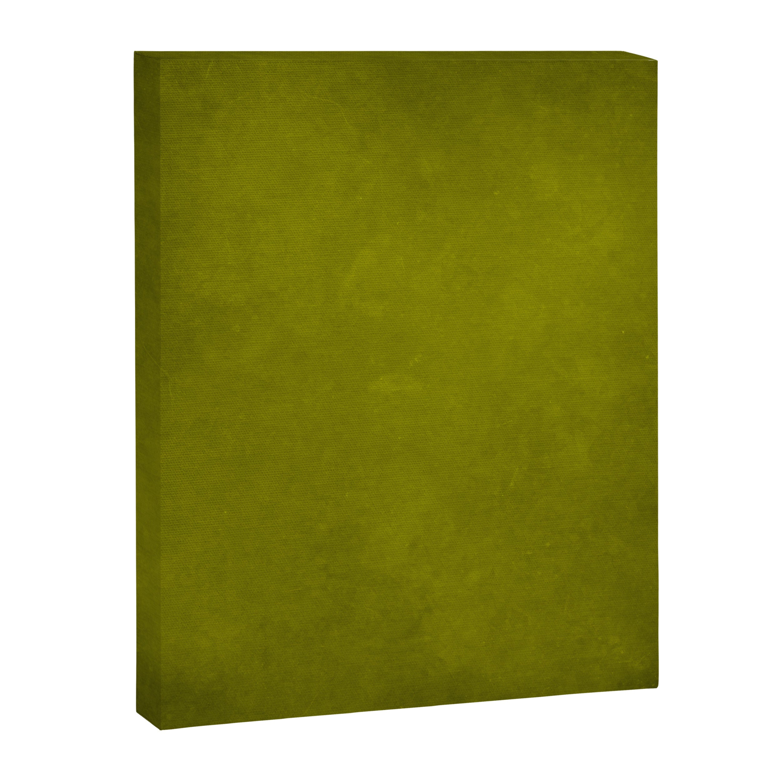 Olive green tones Canvas Print Gallery Image 8