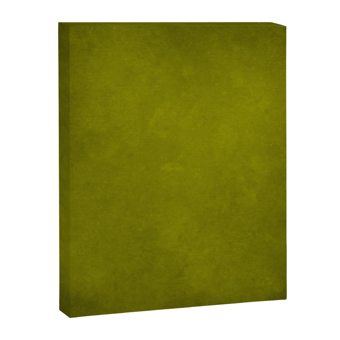 Olive green tones Canvas Print Gallery Image 1
