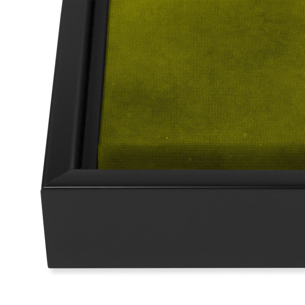 Olive green tones Framed Canvas Print Gallery Image 3