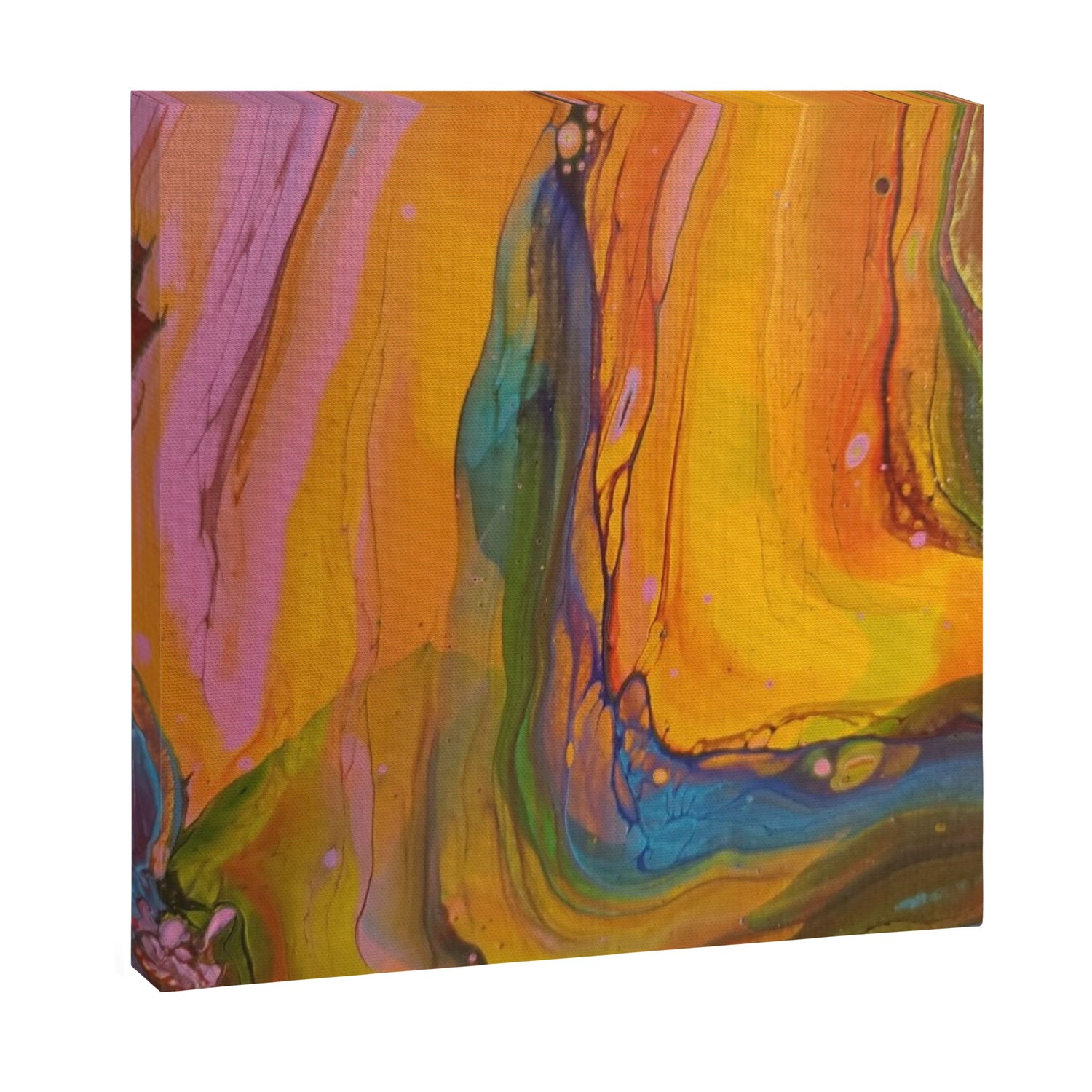 Rainbow River Canvas Print Gallery Image 3