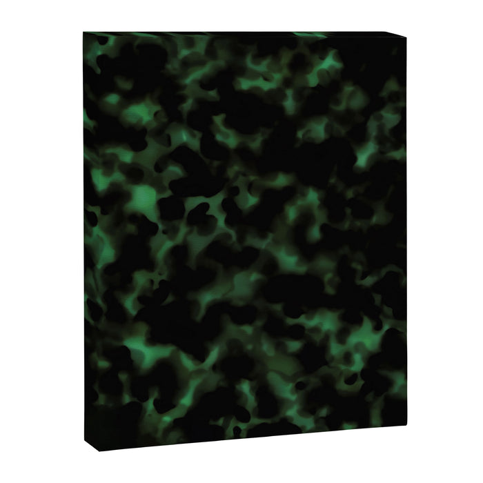 Emerald Green Tortoise Canvas Print Gallery Image 1