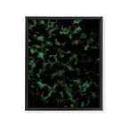 Emerald Green Tortoise Framed Canvas Print Gallery Image 6