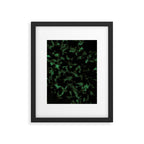 Emerald Green Tortoise Framed Art Print Gallery Image 5