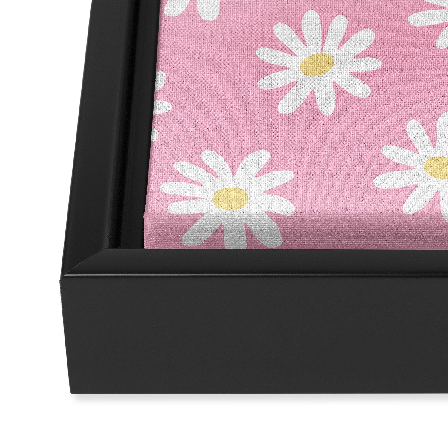 Pink Daisy Daydream Framed Canvas Print Gallery Image 3