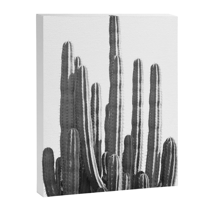Black and White Cactus Canvas Print Gallery Image 1
