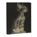 CAT scan Canvas Print Gallery Image 6