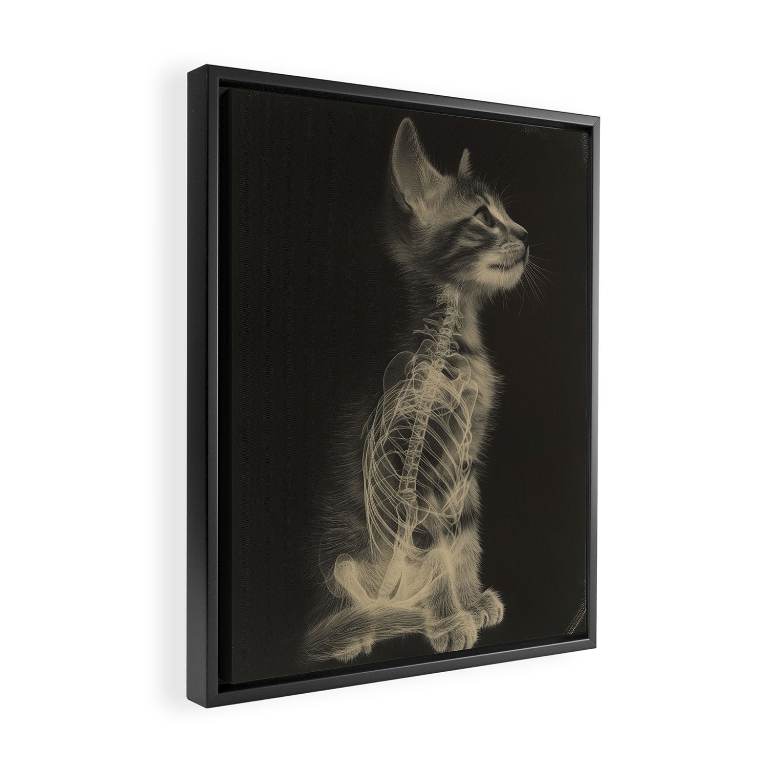 CAT scan Framed Canvas Print Gallery Image 2