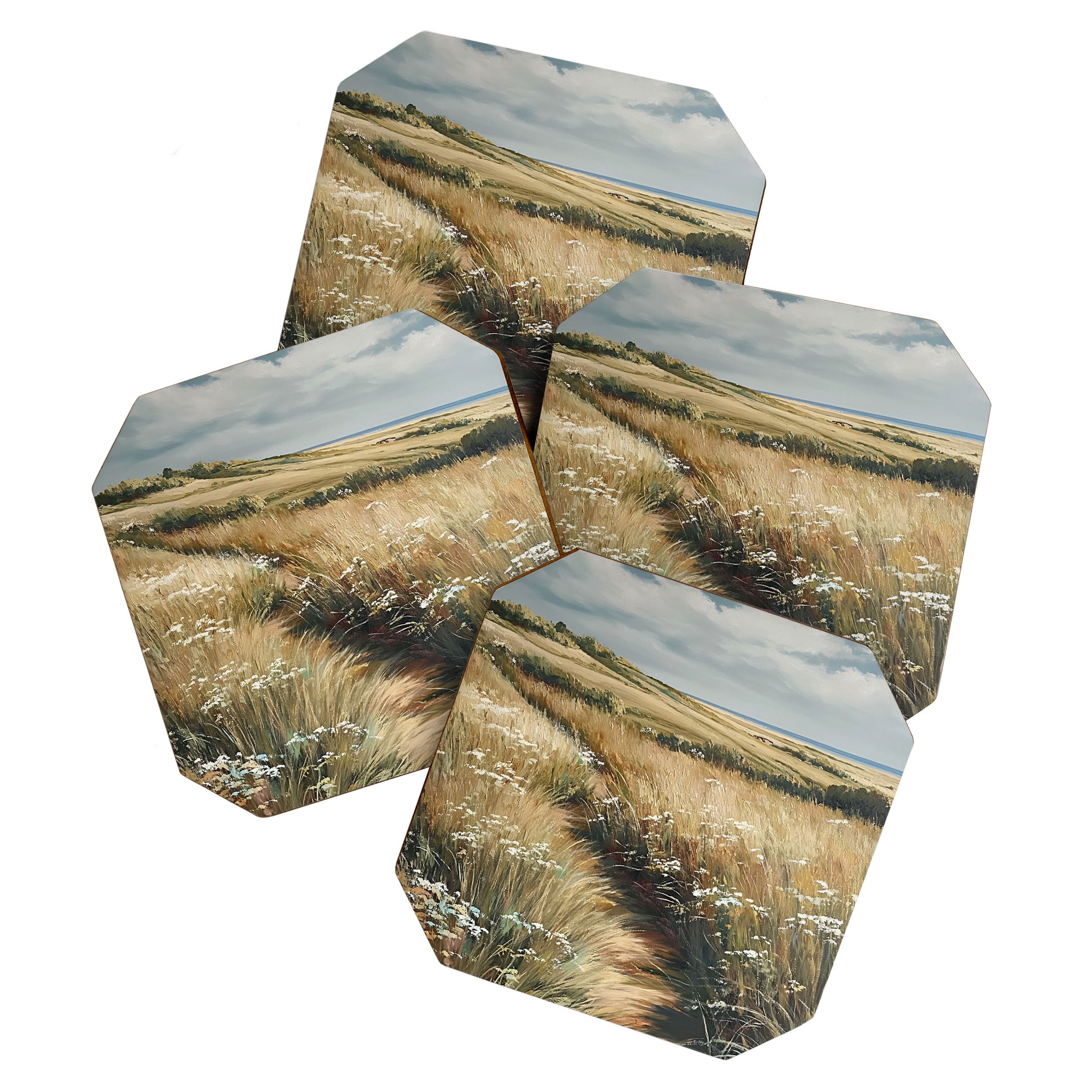 Country landscape Coaster Gallery Image 1