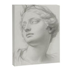 Demeter Canvas Print Gallery Image 6