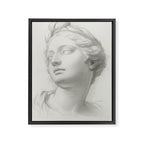 Demeter Framed Canvas Print Gallery Image 6