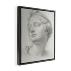 Demeter Framed Canvas Print Gallery Image 2
