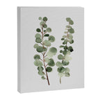 Eucalyptus (watercolor finger painting) Canvas Print Gallery Image 6
