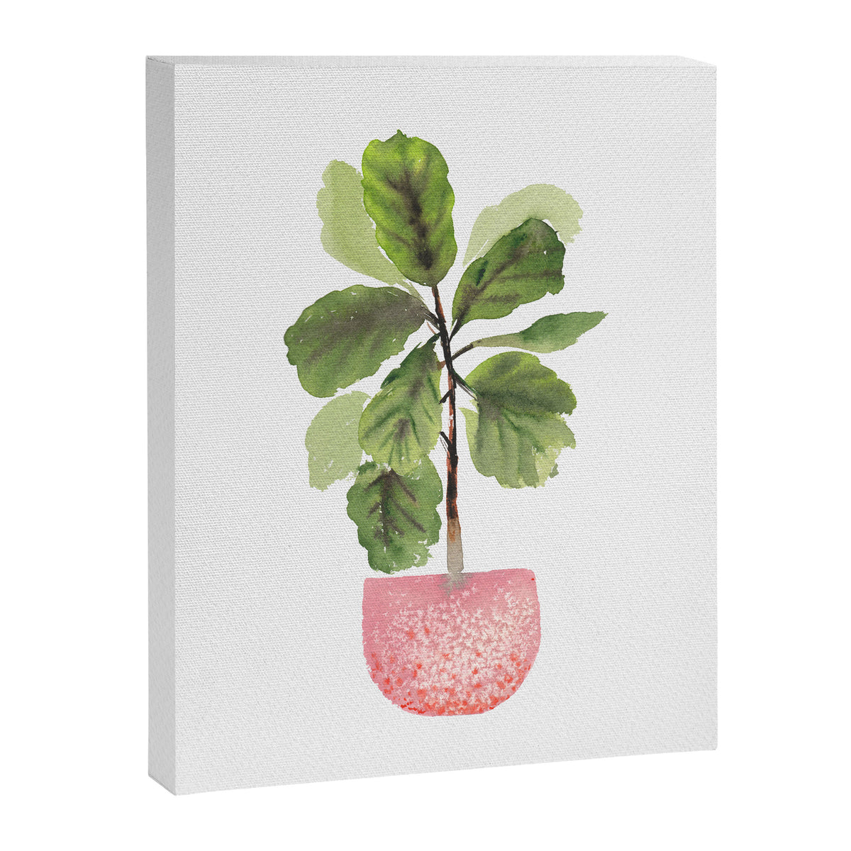 Fiddle-Leaf Fig (Watercolor) Canvas Print Gallery Image 6
