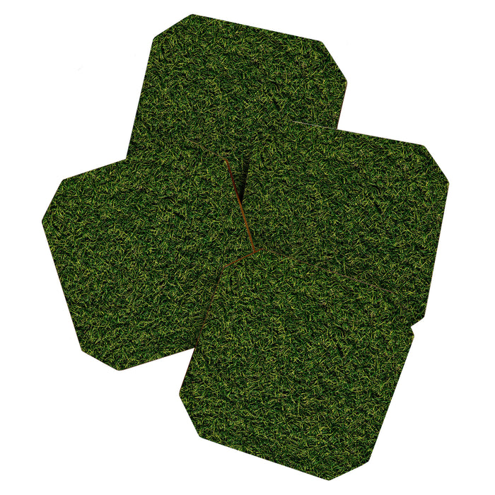 Grass Coaster Gallery Image 1