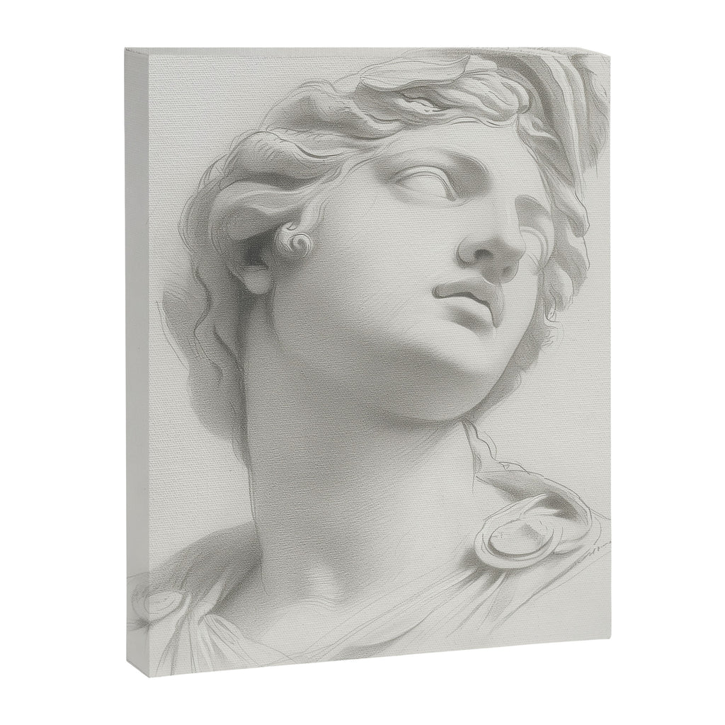Mercury Canvas Print Gallery Image 6