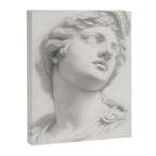 Mercury Canvas Print Gallery Image 6