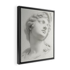 Mercury Framed Canvas Print Gallery Image 2