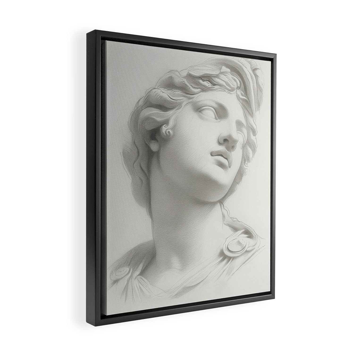 Mercury Framed Canvas Print Gallery Image 2