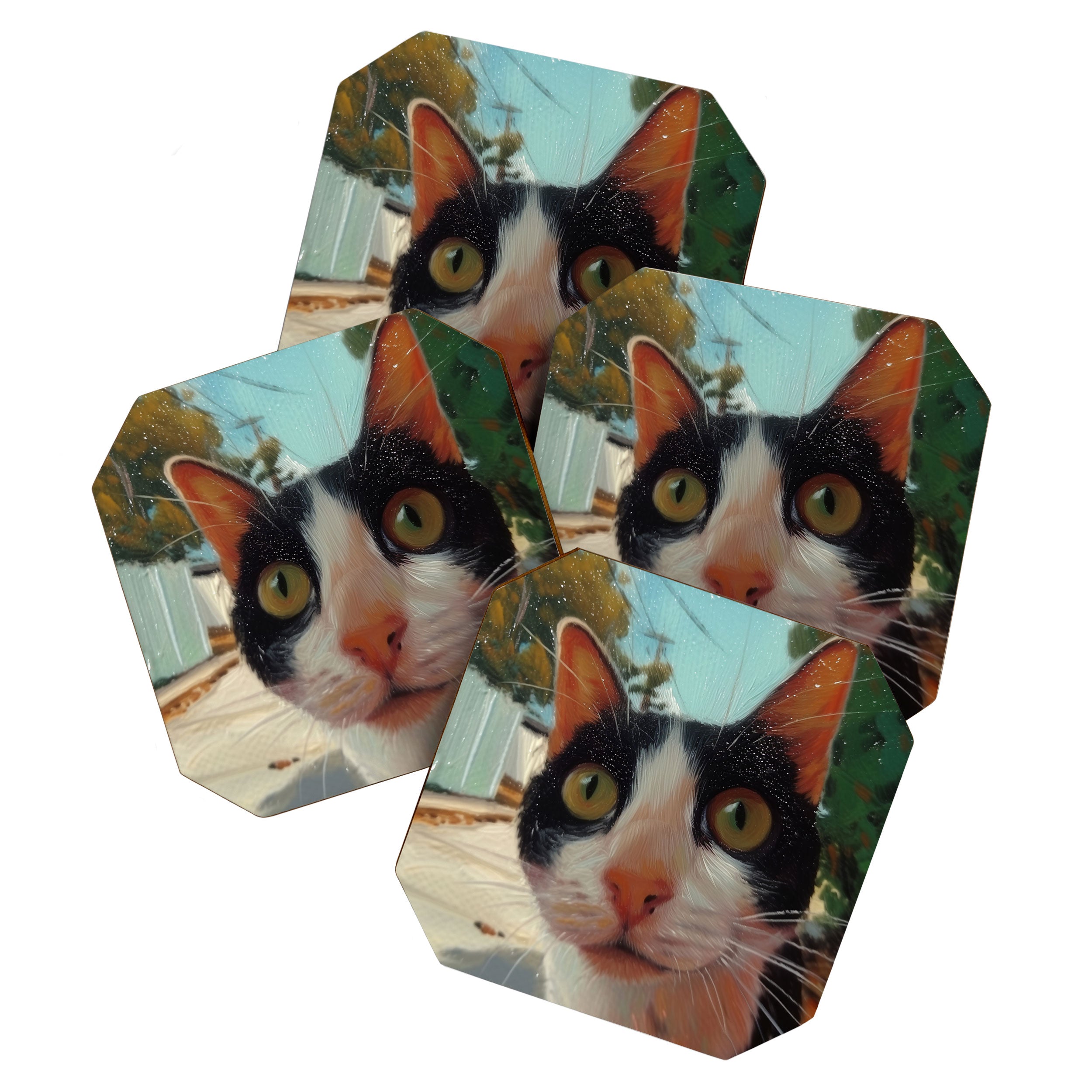 Peeping II Coaster Gallery Image 1